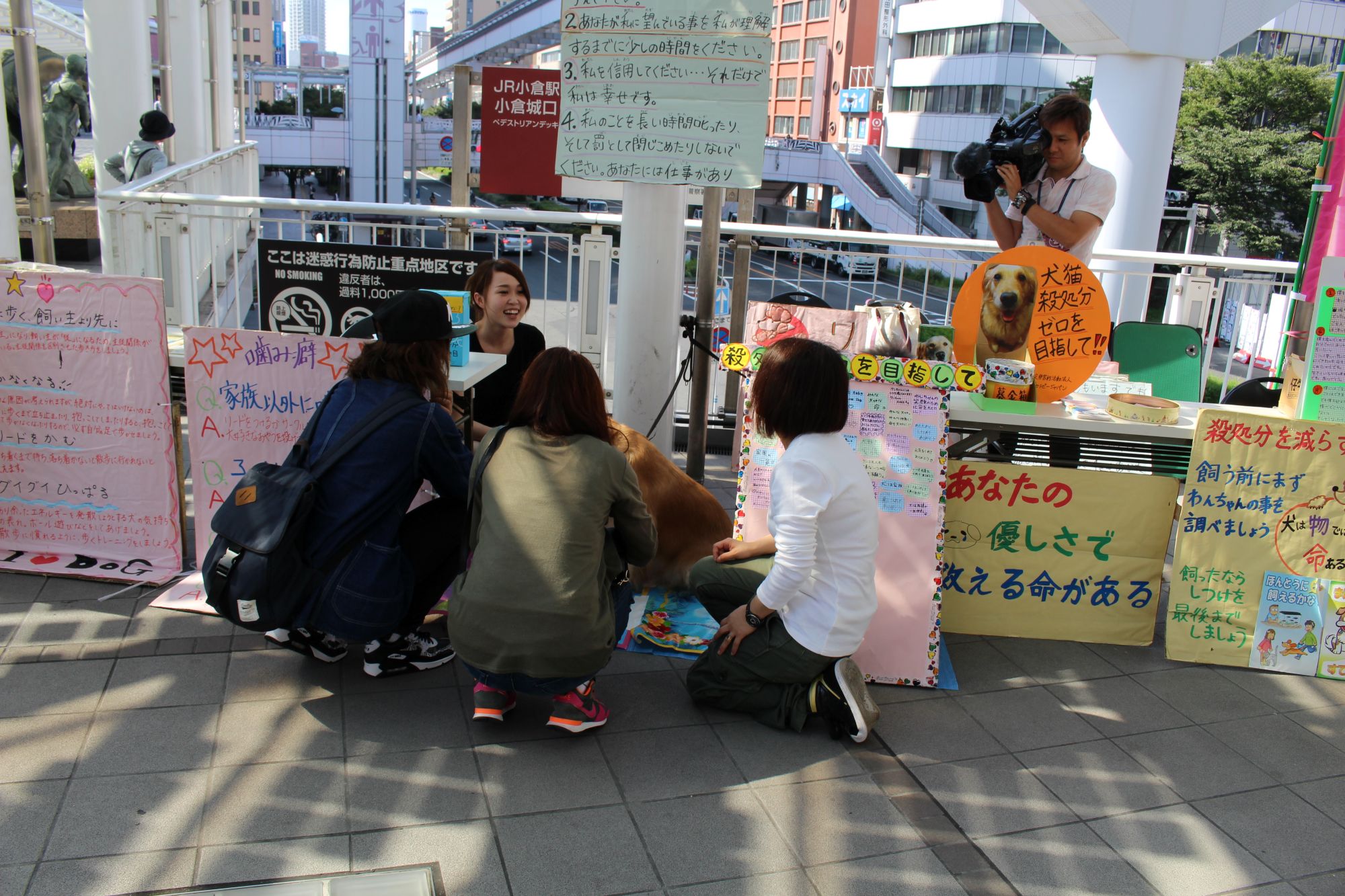 支援する